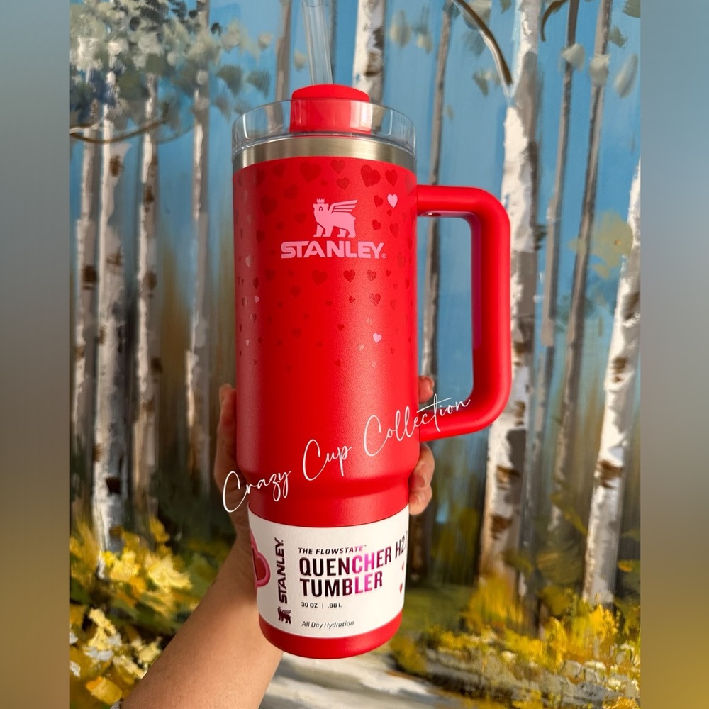 Stanley Target Exclusive Limited Edition Ruby Hearts 30oz